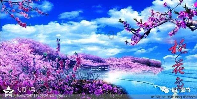 海贼王伟大冒险2